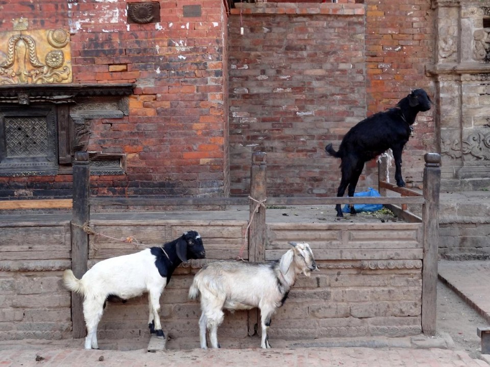 Entdecke Bhaktapur