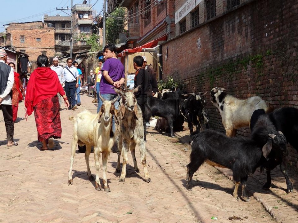 Entdecke Bhaktapur