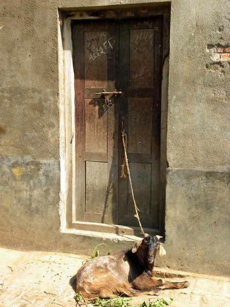 Entdecke Bhaktapur