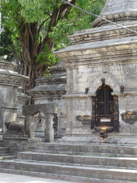 Pashupatinath Nepal